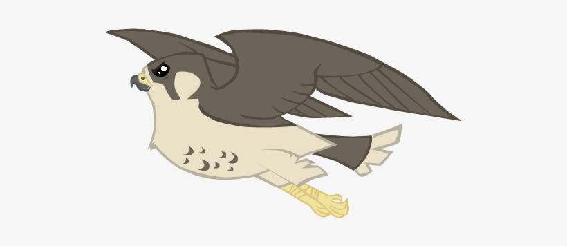 Alicesstudio, Bird, Falcon, Flying, Peregrine Falcon, - My Little Pony Falcon, transparent png #4242415