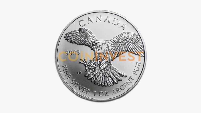 1 Oz Birds Of Prey Peregrine Falcon - Silver, transparent png #4242469