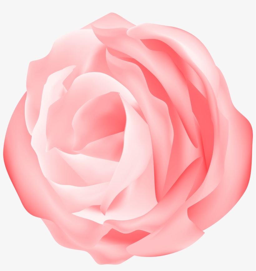 Camellia Clipart Digital Camellia Flower Clip Art Pink, transparent png #4243495