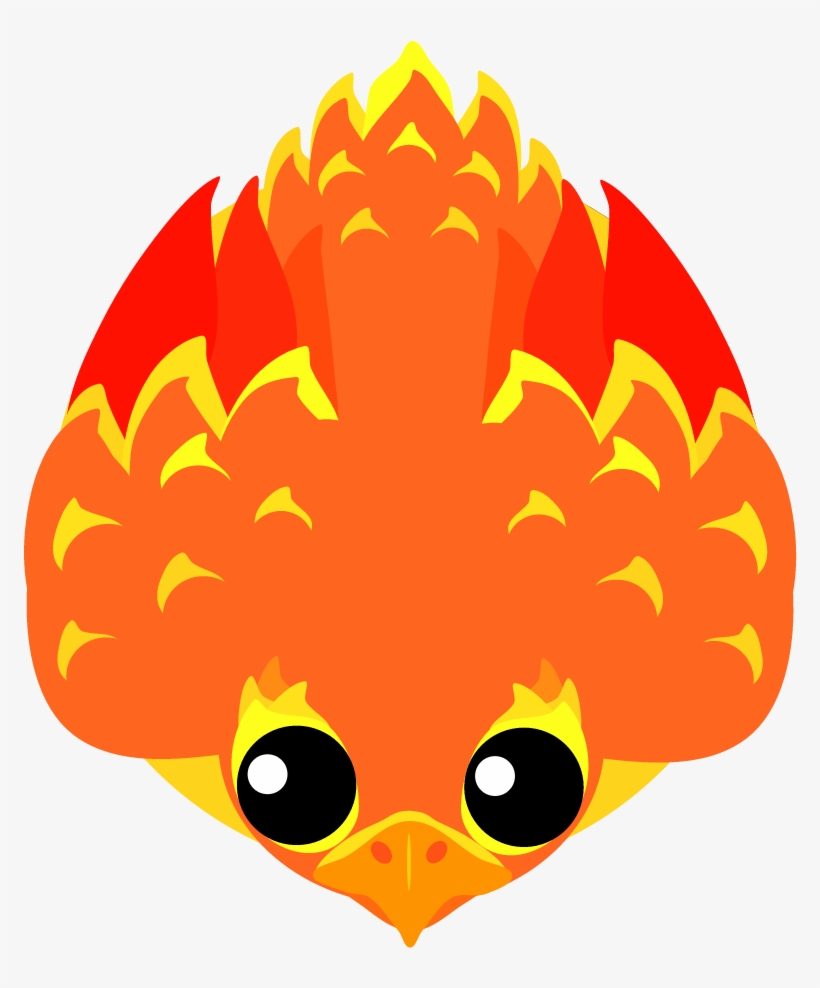 Predatory Birds, Like This One, Have A Short, Wide, transparent png #4244344