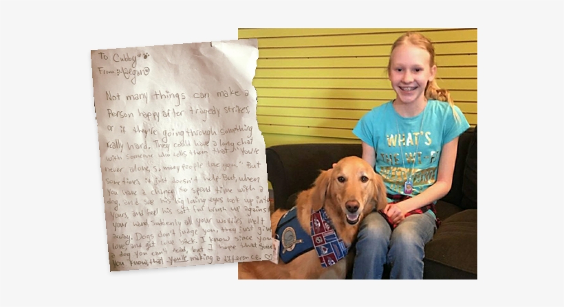 Picture - “ - Dog, transparent png #4244446