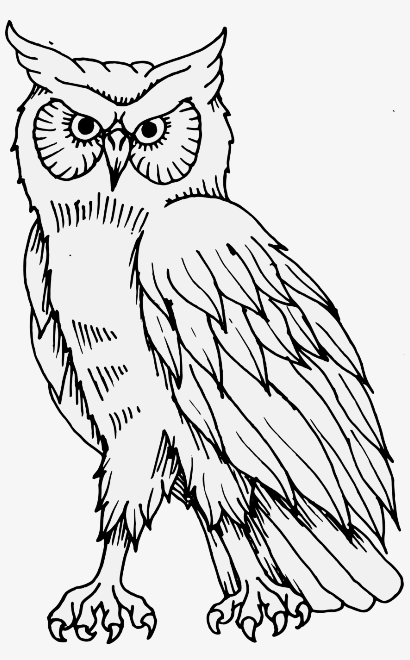 Details, Png - Illustration, transparent png #4244578