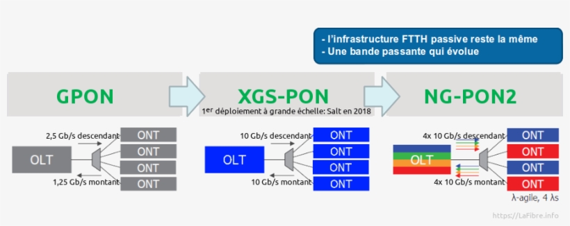 Buy Mein Kampf The - Optical Fiber, transparent png #4246392