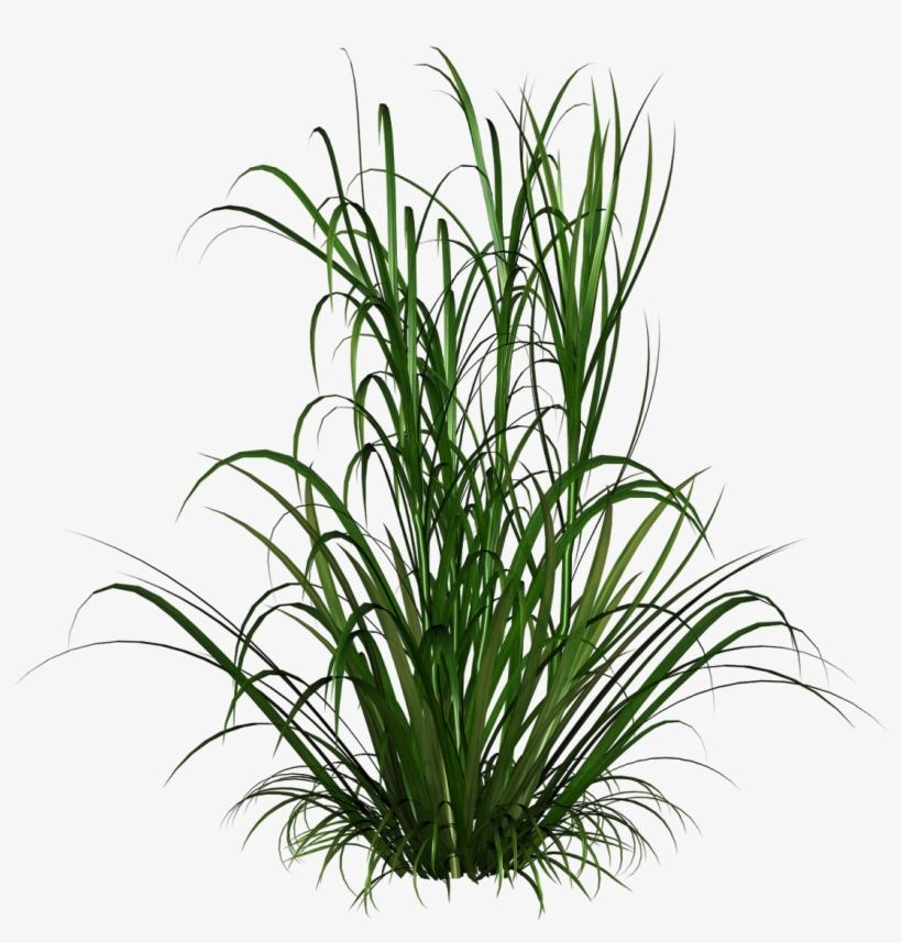 Read More - Out Of Africa Mug, transparent png #4246430