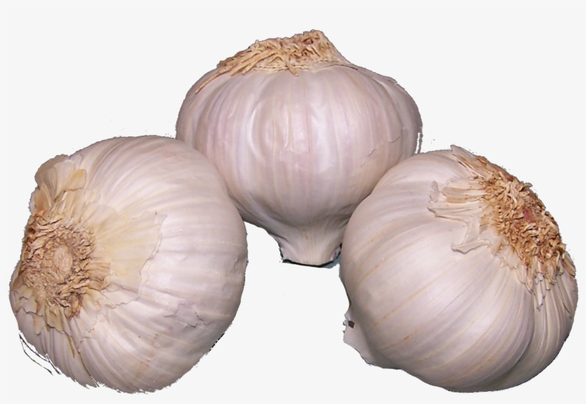 Ristra Ajos Png, transparent png #4246516