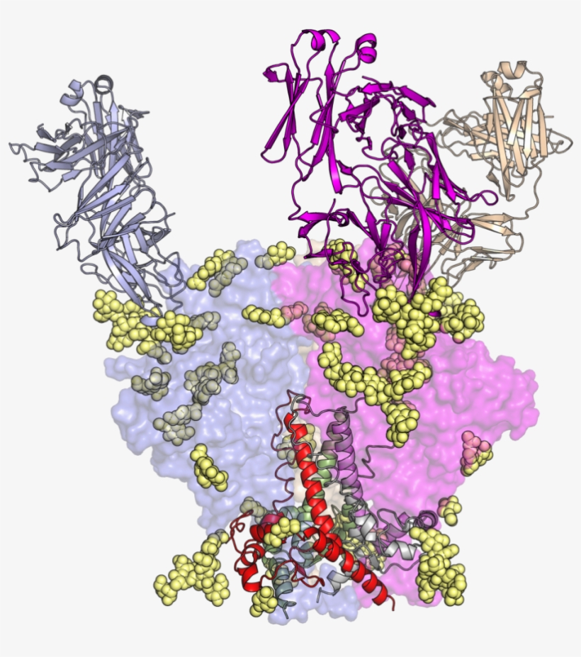 In Pursuit Of Hiv Vaccine, Tsri Scientists Shed Light - Hiv Vaccine, transparent png #4246647