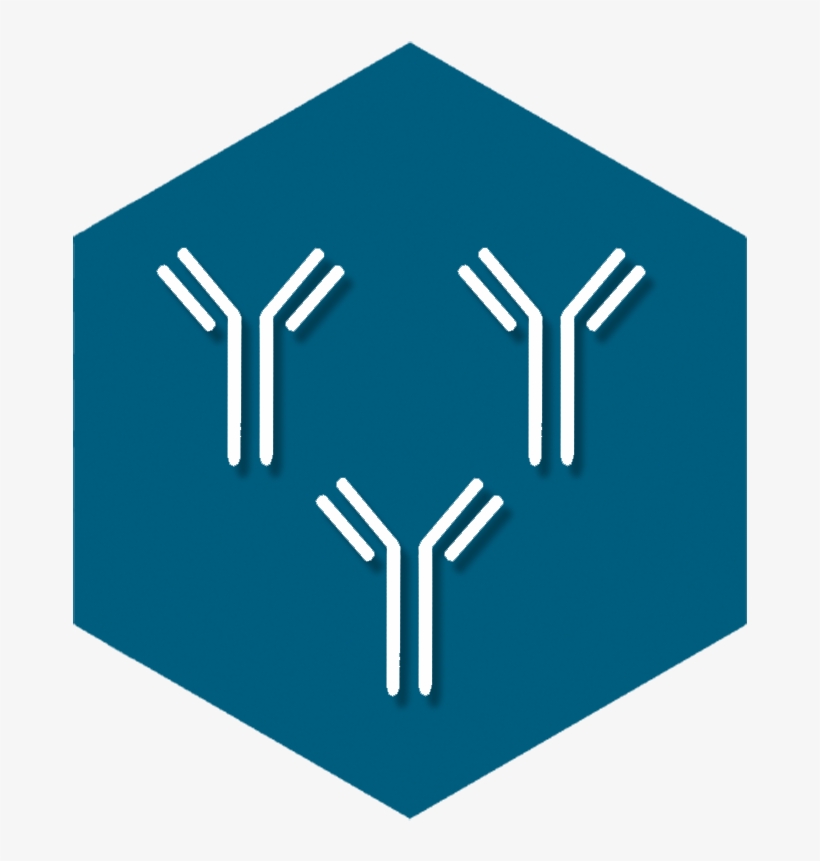 Polyclonal Antibodies - Advanced Immunochemical Inc., transparent png #4246703
