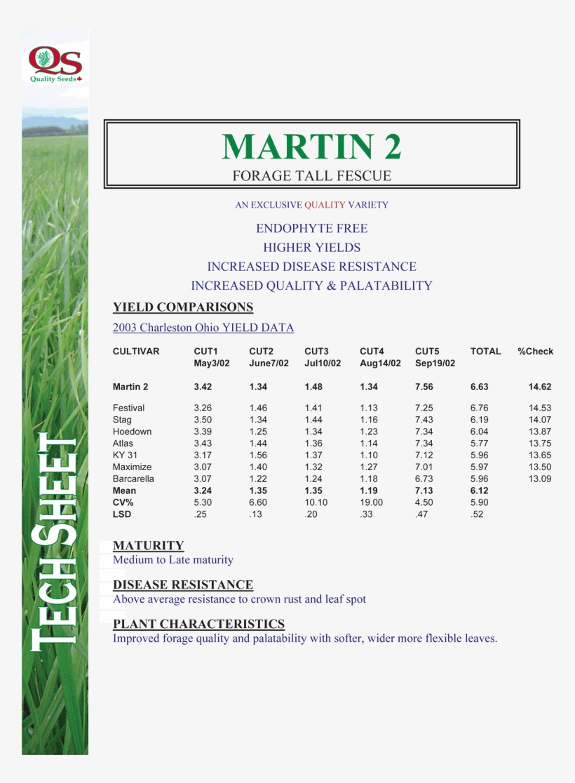 Tall Fescue, transparent png #4246951