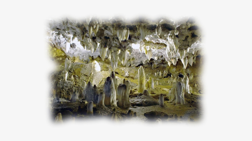 Ajo) It Is A Grotto Of 17 Km - Cueva Del Soplao Santander, transparent png #4247169