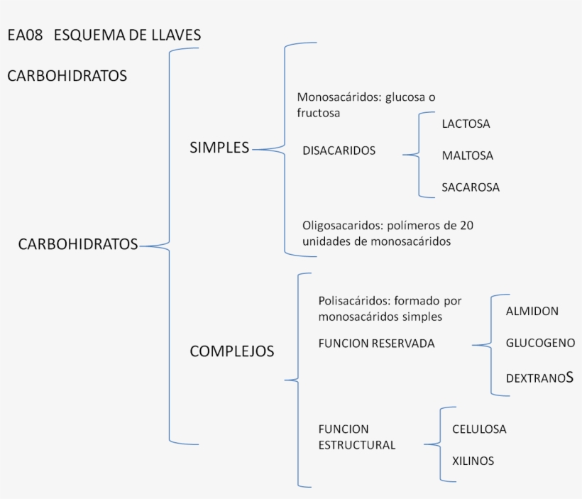 Lunes, 2 De Julio De - Esquema De Llaves De Esquema De Llaves, transparent png #4247176