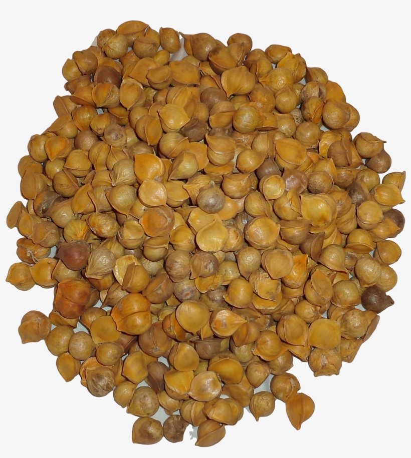 100% Natural Japanese Garlic Or Ajo Japones - 100% Natural, transparent png #4247359