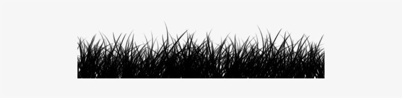 1883 - Grass Black And White Png, transparent png #4247767