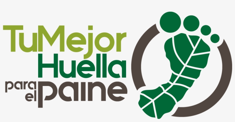 Logopaine Color - Tu Mejor Huella, transparent png #4248242