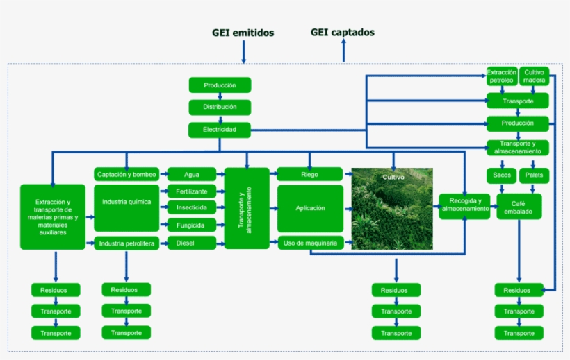 Cafe Huella Carbono Peq - Huella De Carbono Del Cafe, transparent png #4248278