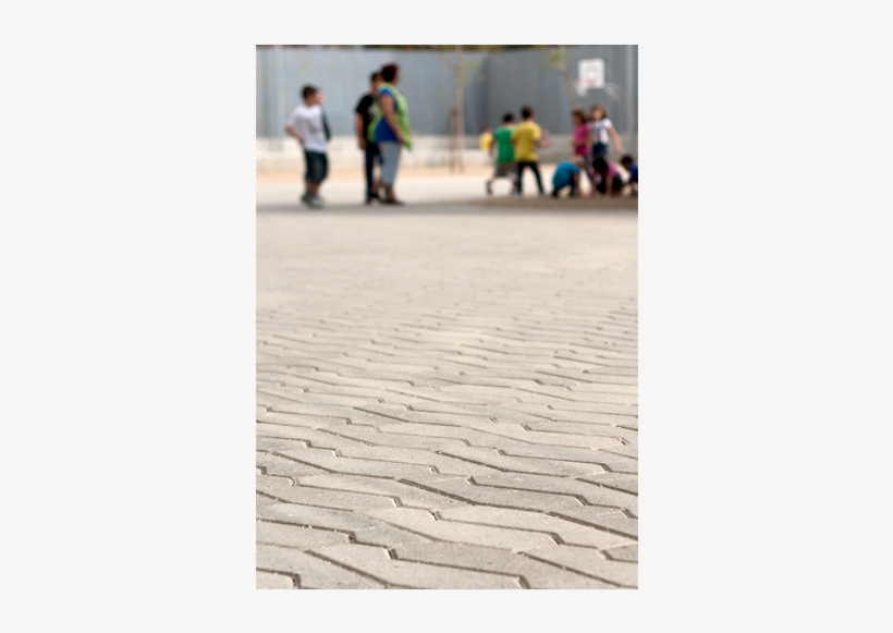 Huella Semi-seco Bicapa Prensado De Pau Casaldàguila - Lipid Bilayer, transparent png #4248484