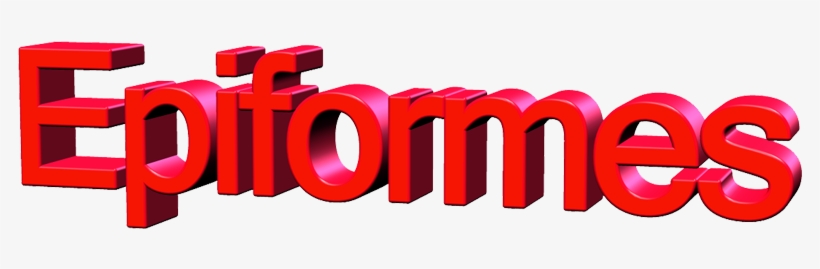 Epiformes Ropa Laboral Original Y De Alta Calidad - Clothing, transparent png #4248558