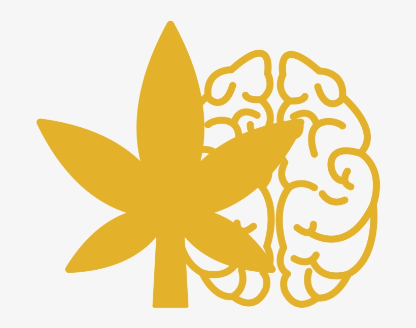 Marijuana Brain Health - Memory, transparent png #4249316