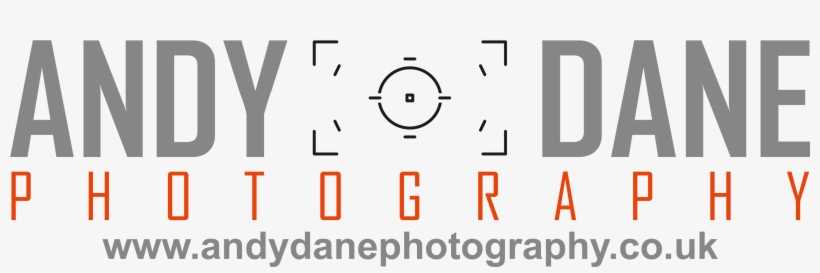 Andy Dane - New Amsterdam Gin Logo, transparent png #4249487