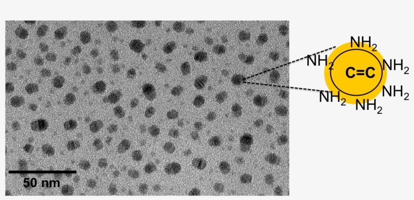 Carbon Quantum Dots - Carbon Quantum Dot Model, transparent png #4250113