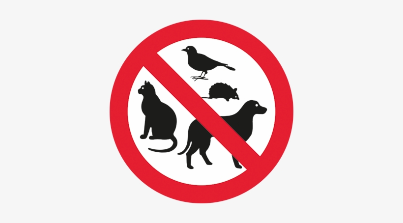 No Entry Pet Sign Sticker - No Animals Allowed Signs, transparent png #4250240