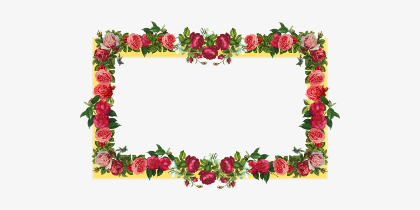 Red Flower Frame Border Frames - Border Design Flower Rose, transparent png #4250523