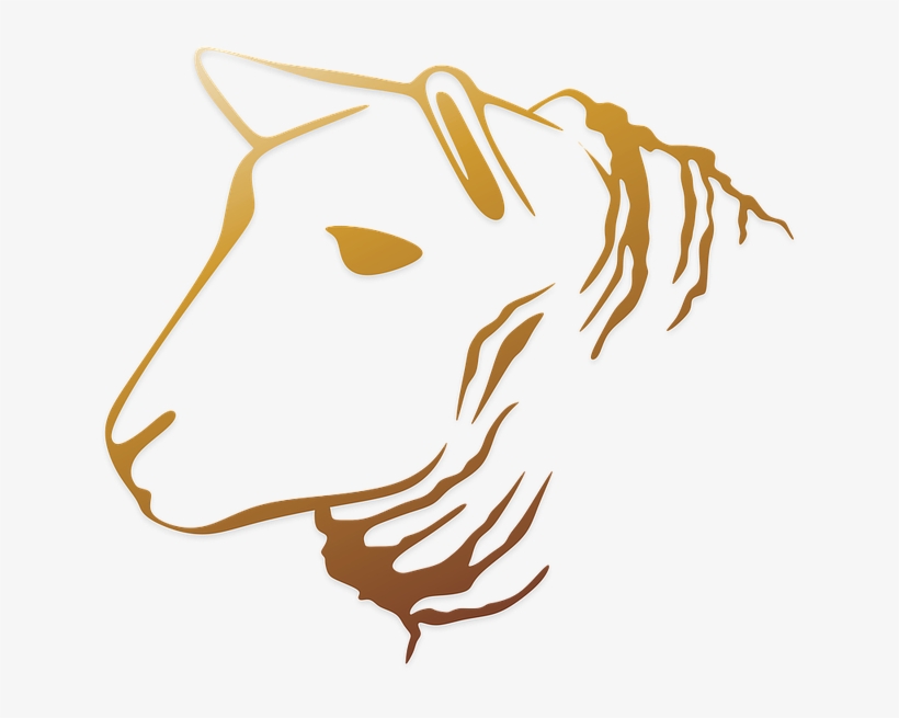 Ladies Mule Slippers, Sheepskin, Wool Lined - Papucs, transparent png #4251281