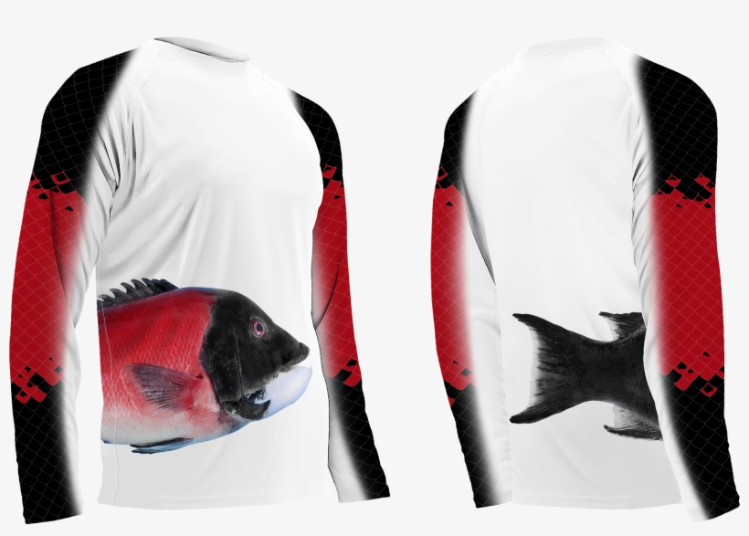 Wrap Around Cali Sheephead - California Sheephead, transparent png #4251463