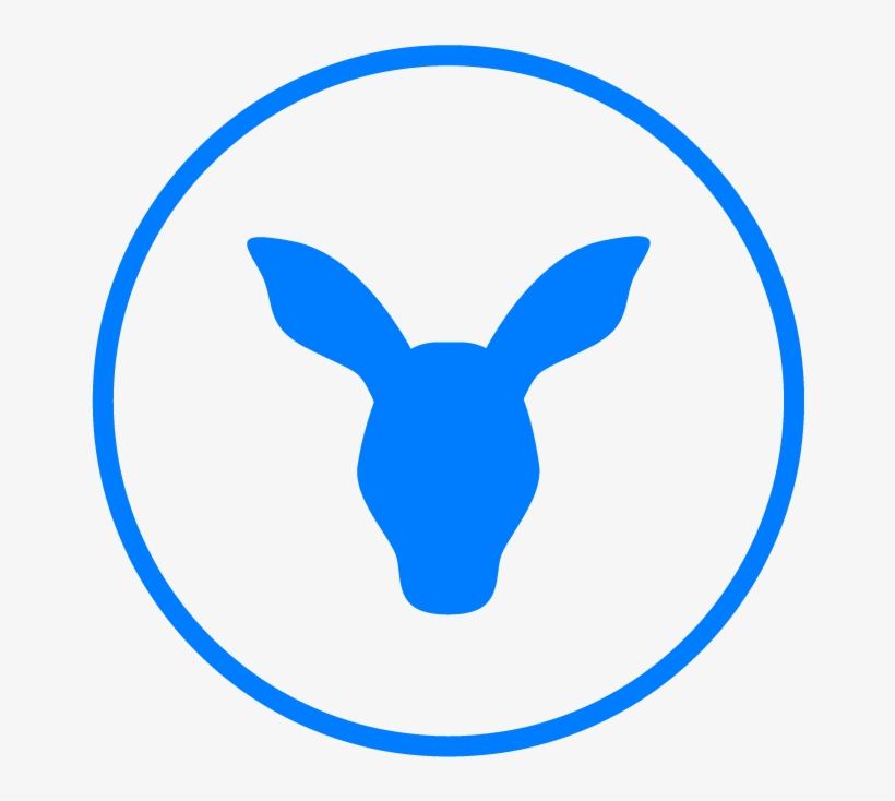 December 8, - Wallaroo Media, transparent png #4251798