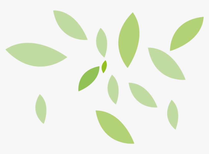 Folhas - Leaf, transparent png #4252432