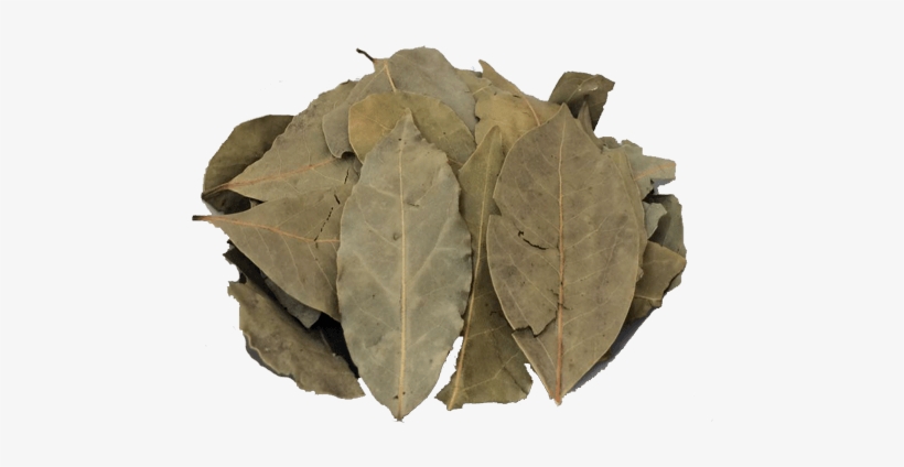 Louro Turco Em Folhas - Bay Leaf, transparent png #4253016