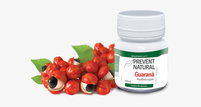 Guaraná - Prevent Natural - Guarana Seed, transparent png #4254628