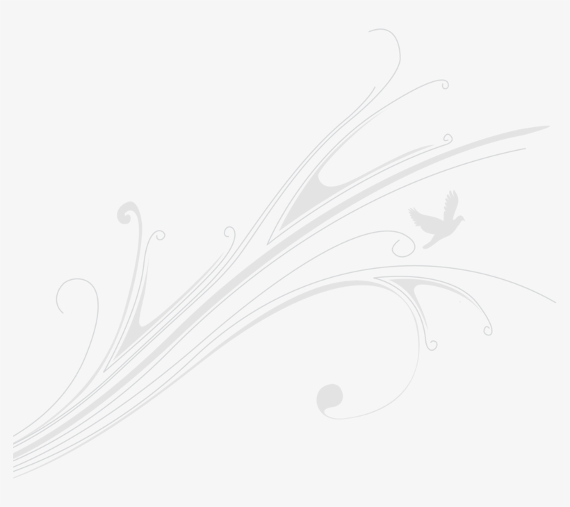 Bolton Abbey Weddings - Line Art, transparent png #4254910