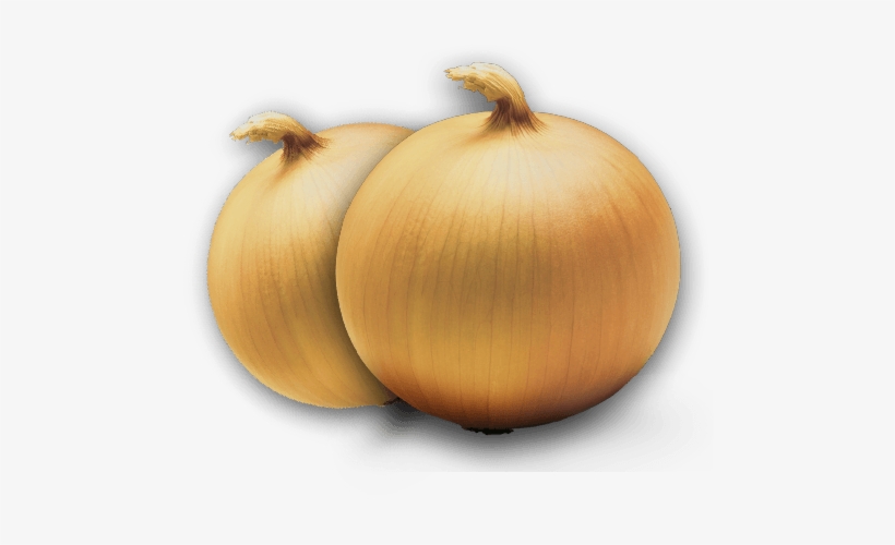Cebollas Amarillas - Onion, transparent png #4254933