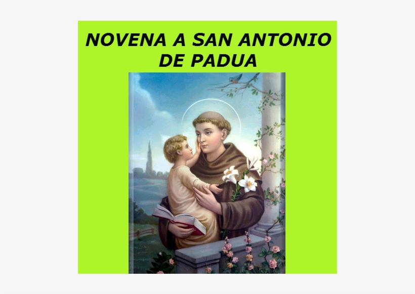 Feast Of St. Anthony Of Padua, Saint, transparent png #4257571