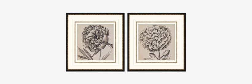 Graphic Floral Art - Vision Studio - Graphic Floral V, transparent png #4257626