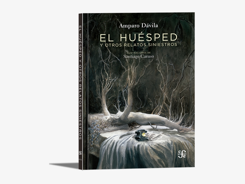 El Huésped Y Otros Relatos Siniestros - Huésped De Amparo Dávila, transparent png #4257693