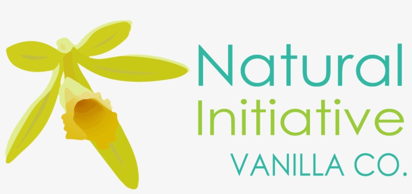 Nature Vanilla - Finding Us, transparent png #4257751