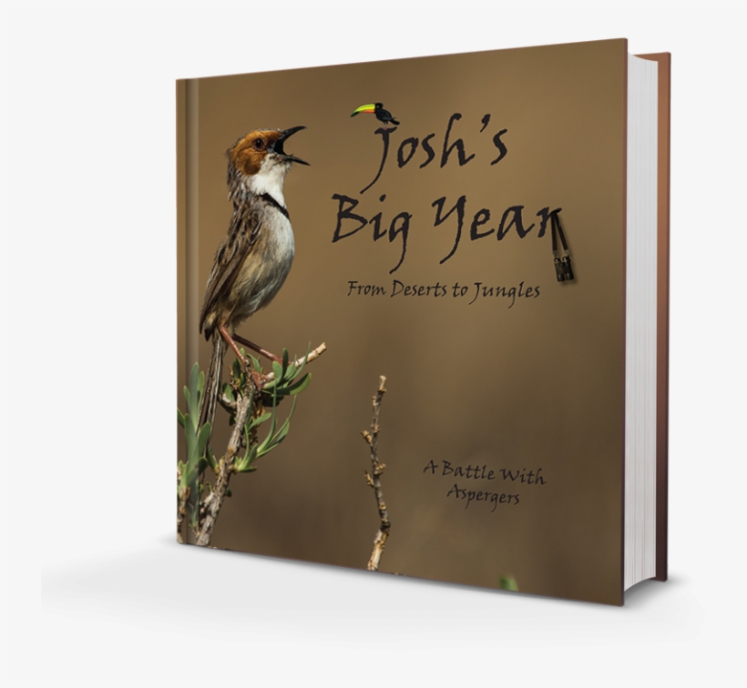 Bethany - Resurrected Church [book], transparent png #4257964
