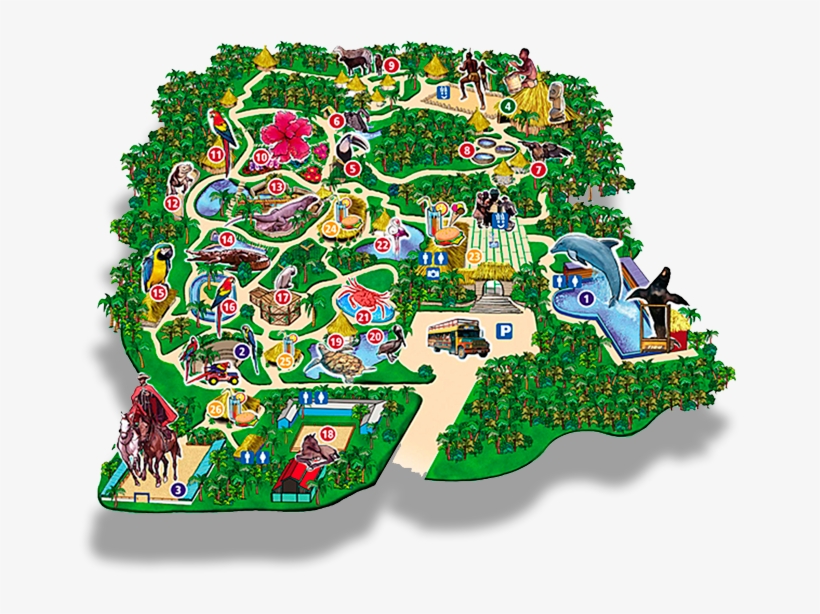 Manati Nature Experience - Manati Park Punta Cana, transparent png #4258820