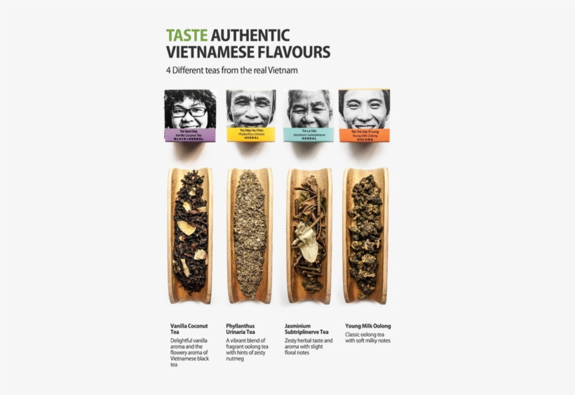 Sense Asia Tea Sampler Tea Gift Collection Of Loose - Skateboard, transparent png #4259659