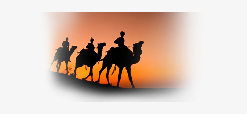 The Arab Merchants Travelled Across The Desert With - Dvd Census And The Star,, transparent png #4260248