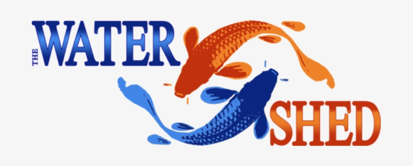 Pond Salt - Jpeg, transparent png #4260265