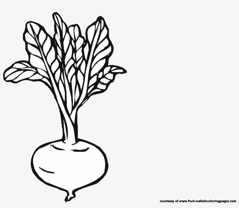 Beetroot Clipart Black And White - Beetroot Black And White, transparent png #4260665