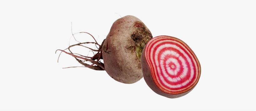 Products Used - Candy Beetroot, transparent png #4260863
