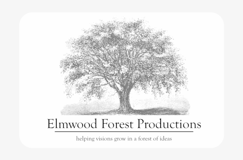 Efp New Logo 2018 Small Rounded Edges - Mexican Pinyon, transparent png #4261082