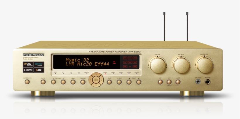 Dolby And Dts Cinema Decoding，built In Wireless Microphone - Dolby Digital, transparent png #4261358