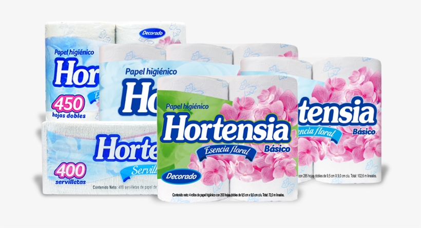 Familia Hortensia Básico - Family, transparent png #4262097