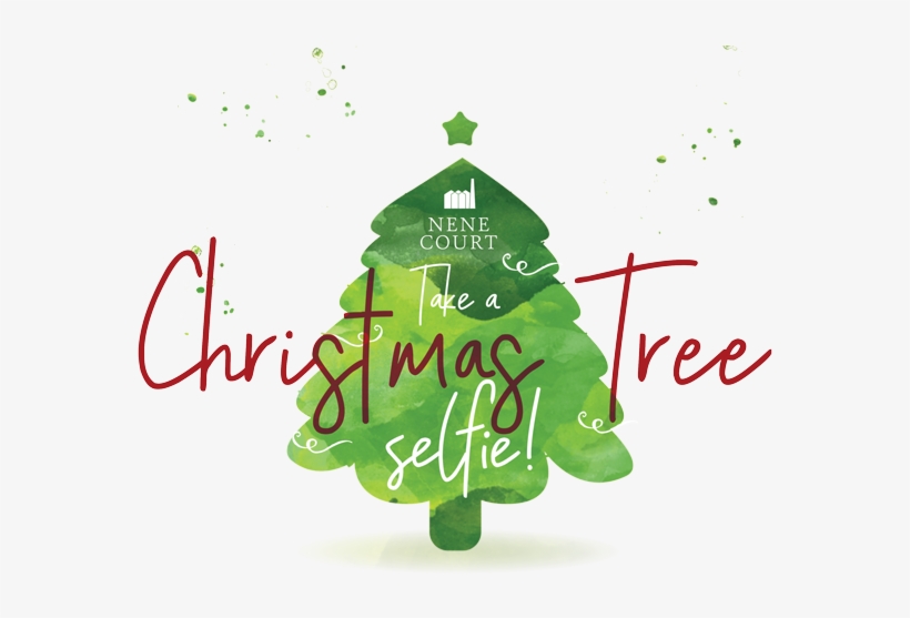 Christmas Tree Selfie - Product, transparent png #4262970