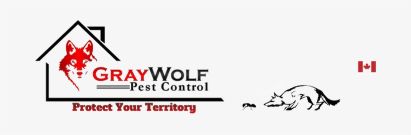 Gray Wolf Pest Control - Chimesofyourlife E4155 Wind Chime 19-inch Grey Hound, transparent png #4264421