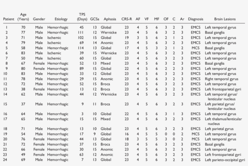 Demographic Data Of Each Patient With Aphasia - Om Uncle's Chinese Corner, transparent png #4264424